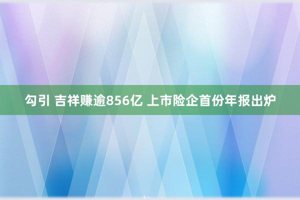 勾引 吉祥赚逾856亿 上市险企首份年报出炉