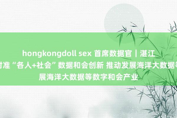 hongkongdoll sex 首席数据官｜湛江政数姚胜鑫：对准“各人+社会”数据和会创新 推动发展海洋大数据等数字和会产业