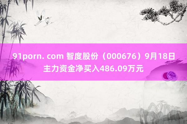 91porn. com 智度股份（000676）9月18日主力资金净买入486.09万元