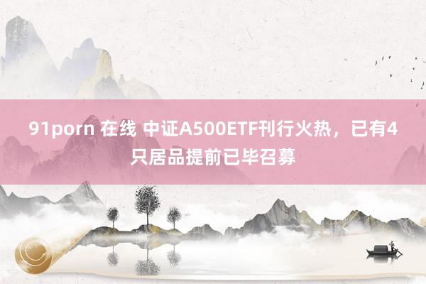 91porn 在线 中证A500ETF刊行火热，已有4只居品提前已毕召募