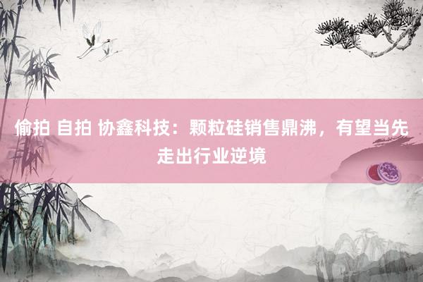偷拍 自拍 协鑫科技:颗粒硅销售鼎沸,有望当先走出行业逆境