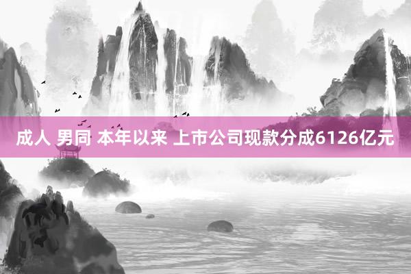 成人 男同 本年以来 上市公司现款分成6126亿元