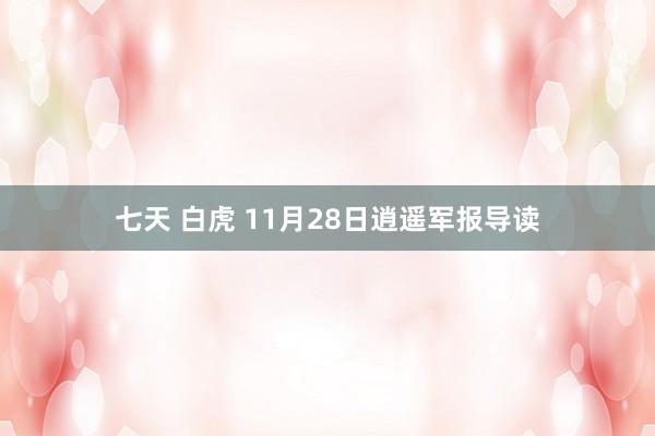 七天 白虎 11月28日逍遥军报导读