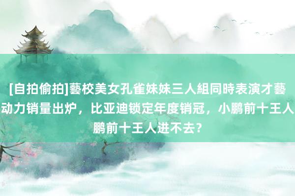 [自拍偷拍]藝校美女孔雀妹妹三人組同時表演才藝 11月新动力销量出炉，比亚迪锁定年度销冠，小鹏前十王人进不去？