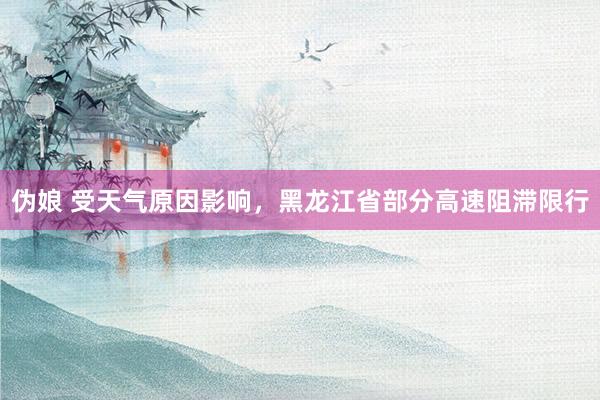 伪娘 受天气原因影响，黑龙江省部分高速阻滞限行