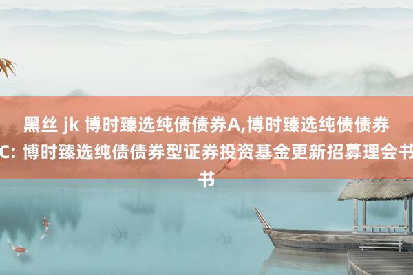 黑丝 jk 博时臻选纯债债券A，博时臻选纯债债券C: 博时臻选纯债债券型证券投资基金更新招募理会书