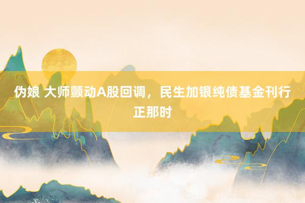伪娘 大师颤动A股回调，民生加银纯债基金刊行正那时