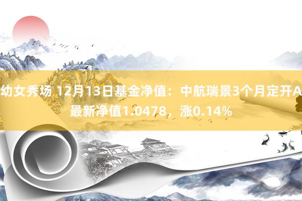 幼女秀场 12月13日基金净值：中航瑞景3个月定开A最新净值1.0478，涨0.14%