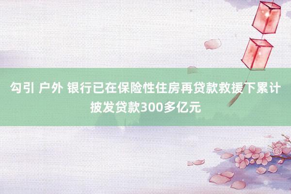 勾引 户外 银行已在保险性住房再贷款救援下累计披发贷款300多亿元