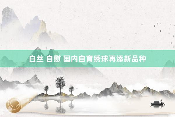白丝 自慰 国内自育绣球再添新品种