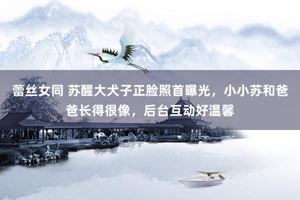 蕾丝女同 苏醒大犬子正脸照首曝光，小小苏和爸爸长得很像，后台互动好温馨