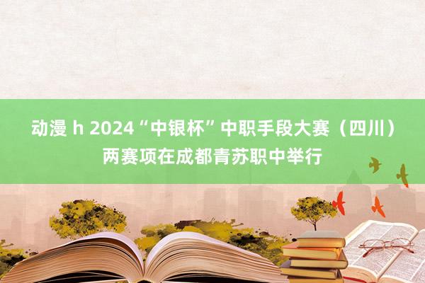 动漫 h 2024“中银杯”中职手段大赛（四川）两赛项在成都青苏职中举行