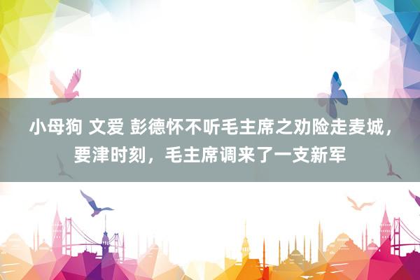 小母狗 文爱 彭德怀不听毛主席之劝险走麦城，要津时刻，毛主席调来了一支新军