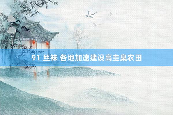 91 丝袜 各地加速建设高圭臬农田