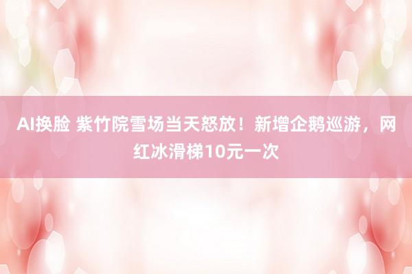 AI换脸 紫竹院雪场当天怒放！新增企鹅巡游，网红冰滑梯10元一次