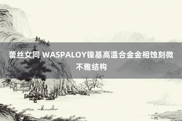 蕾丝女同 WASPALOY镍基高温合金金相蚀刻微不雅结构