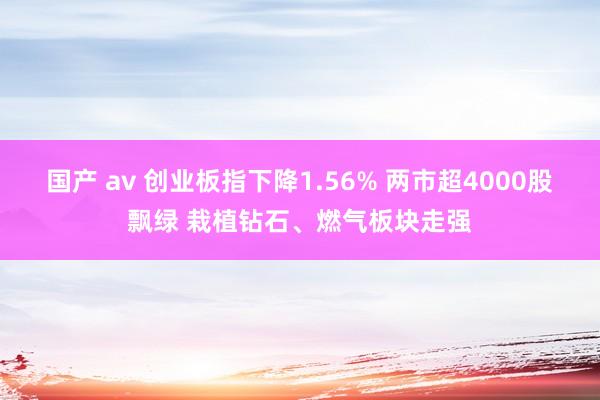 国产 av 创业板指下降1.56% 两市超4000股飘绿 栽植钻石、燃气板块走强