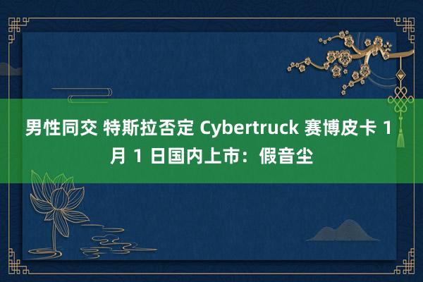 男性同交 特斯拉否定 Cybertruck 赛博皮卡 1 月 1 日国内上市：假音尘