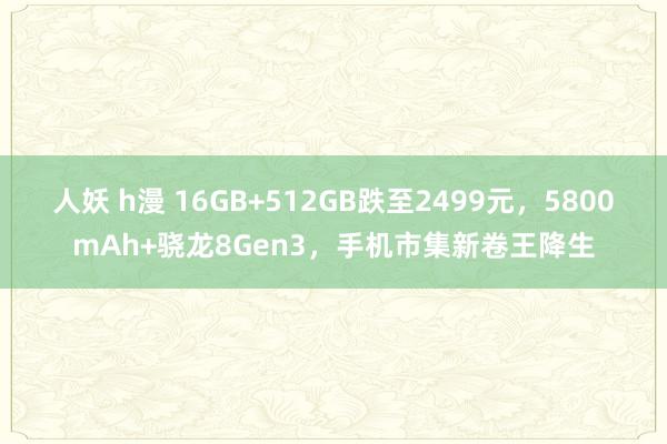 人妖 h漫 16GB+512GB跌至2499元，5800mAh+骁龙8Gen3，手机市集新卷王降生