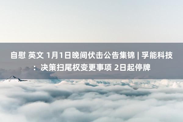 自慰 英文 1月1日晚间伏击公告集锦 | 孚能科技：决策扫尾权变更事项 2日起停牌