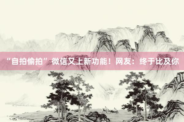 “自拍偷拍” 微信又上新功能！网友：终于比及你