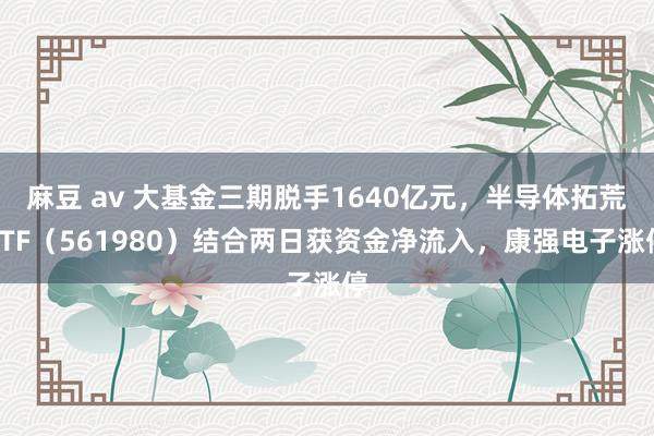 麻豆 av 大基金三期脱手1640亿元，半导体拓荒ETF（561980）结合两日获资金净流入，康强电子涨停