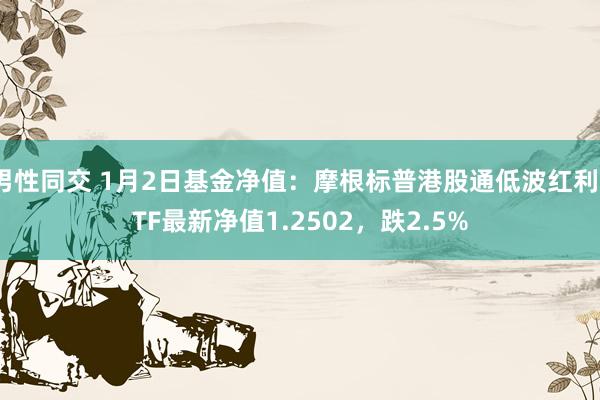 男性同交 1月2日基金净值：摩根标普港股通低波红利ETF最新净值1.2502，跌2.5%