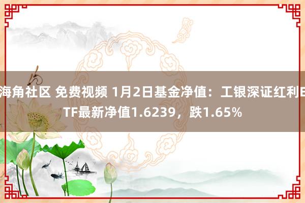 海角社区 免费视频 1月2日基金净值：工银深证红利ETF最新净值1.6239，跌1.65%