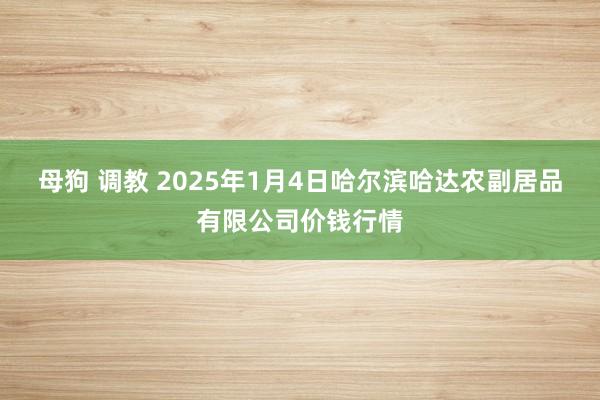 母狗 调教 2025年1月4日哈尔滨哈达农副居品有限公司价钱行情