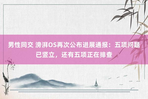 男性同交 滂湃OS再次公布进展通报：五项问题已竖立，还有五项正在排查