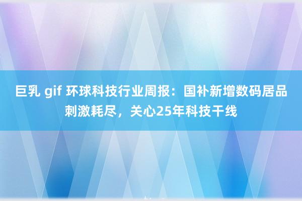 巨乳 gif 环球科技行业周报：国补新增数码居品刺激耗尽，关心25年科技干线