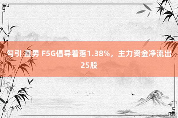 勾引 直男 F5G倡导着落1.38%，主力资金净流出25股