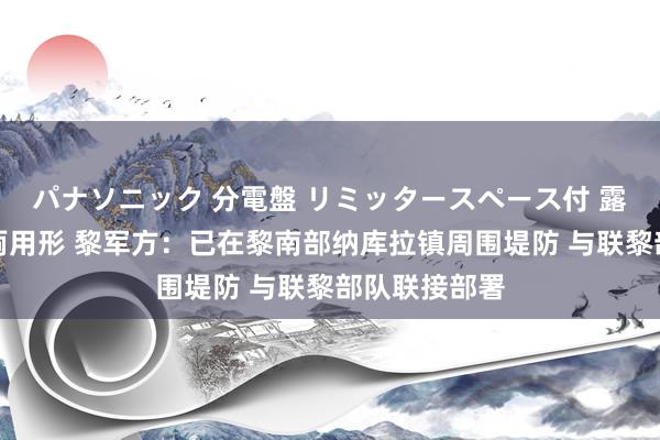 パナソニック 分電盤 リミッタースペース付 露出・半埋込両用形 黎军方：已在黎南部纳库拉镇周围堤防 与联黎部队联接部署