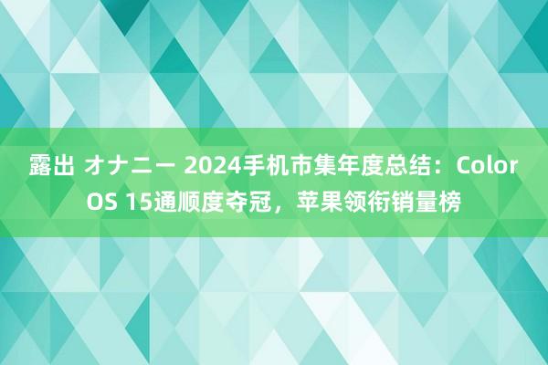 露出 オナニー 2024手机市集年度总结：ColorOS 15通顺度夺冠，苹果领衔销量榜