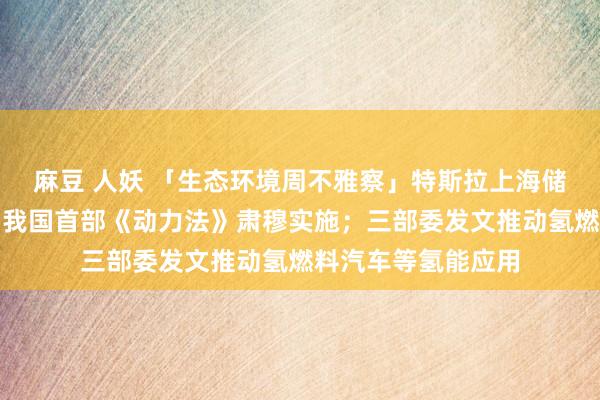 麻豆 人妖 「生态环境周不雅察」特斯拉上海储能超等工场齐全；我国首部《动力法》肃穆实施；三部委发文推动氢燃料汽车等氢能应用