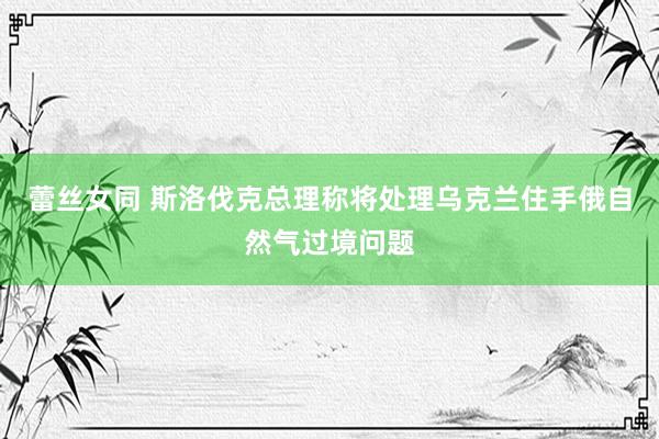 蕾丝女同 斯洛伐克总理称将处理乌克兰住手俄自然气过境问题