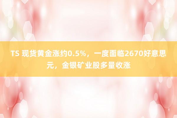 TS 现货黄金涨约0.5%，一度面临2670好意思元，金银矿业股多量收涨