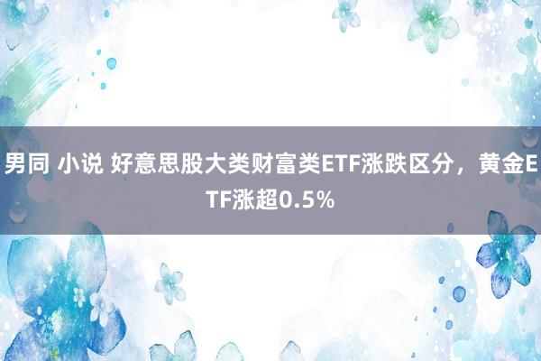 男同 小说 好意思股大类财富类ETF涨跌区分，黄金ETF涨超0.5%