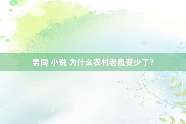 男同 小说 为什么农村老鼠变少了？