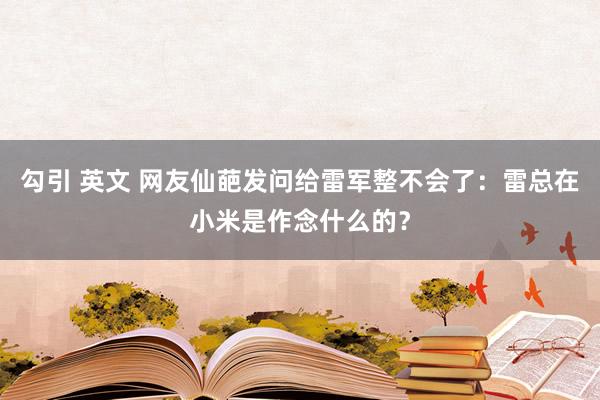 勾引 英文 网友仙葩发问给雷军整不会了：雷总在小米是作念什么的？