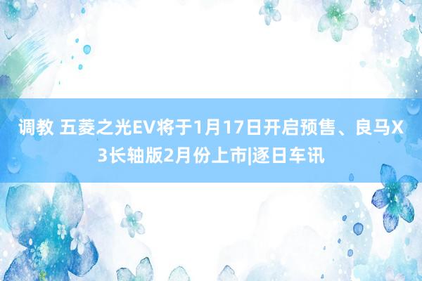 调教 五菱之光EV将于1月17日开启预售、良马X3长轴版2月份上市|逐日车讯