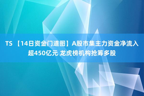 TS 【14日资金门道图】A股市集主力资金净流入超450亿元 龙虎榜机构抢筹多股