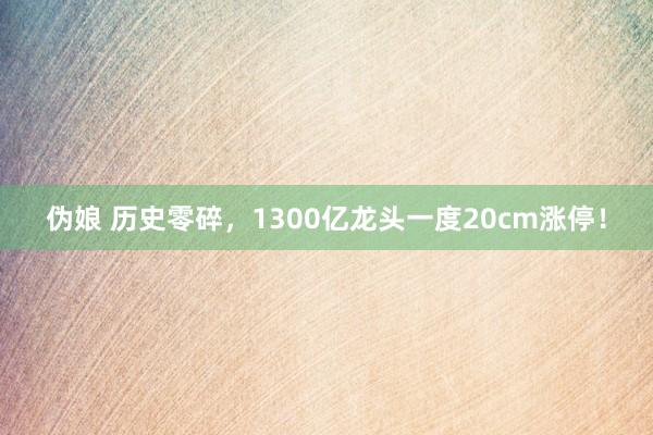 伪娘 历史零碎，1300亿龙头一度20cm涨停！