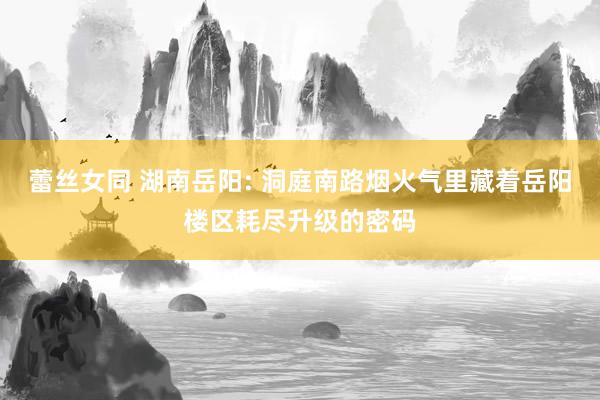 蕾丝女同 湖南岳阳: 洞庭南路烟火气里藏着岳阳楼区耗尽升级的密码