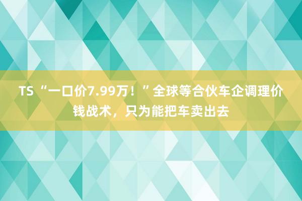 TS “一口价7.99万！”全球等合伙车企调理价钱战术，只为能把车卖出去