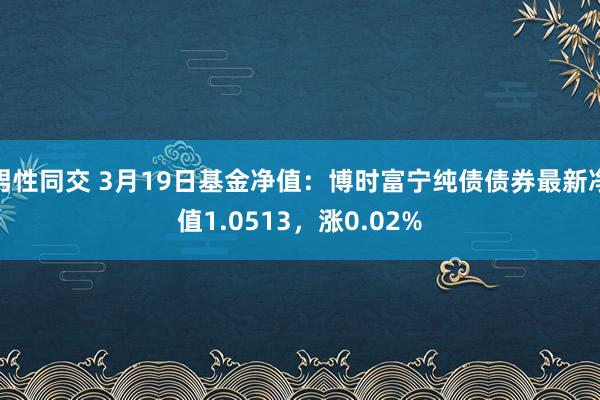 男性同交 3月19日基金净值：博时富宁纯债债券最新净值1.0513，涨0.02%