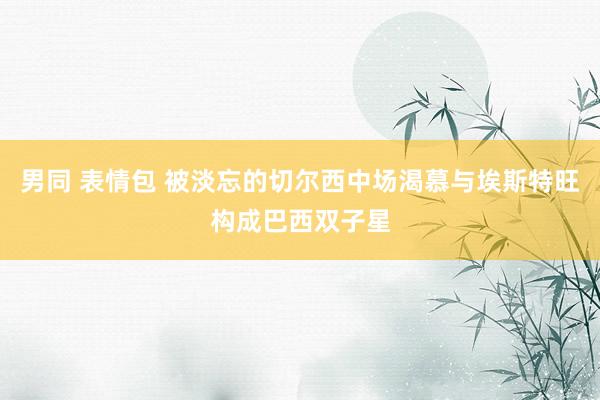 男同 表情包 被淡忘的切尔西中场渴慕与埃斯特旺构成巴西双子星