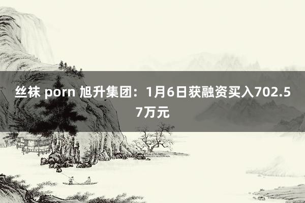 丝袜 porn 旭升集团：1月6日获融资买入702.57万元