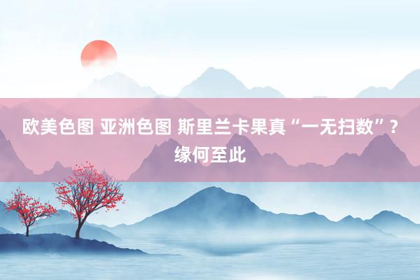 欧美色图 亚洲色图 斯里兰卡果真“一无扫数”？缘何至此