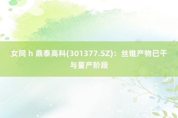 女同 h 鼎泰高科(301377.SZ)：丝锥产物已干与量产阶段